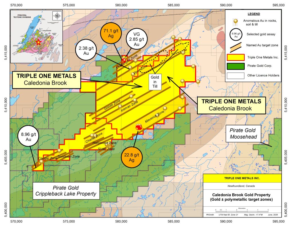 Caledonia Brook gold and polymetallic target map showing named target zones and selected gold and silver results