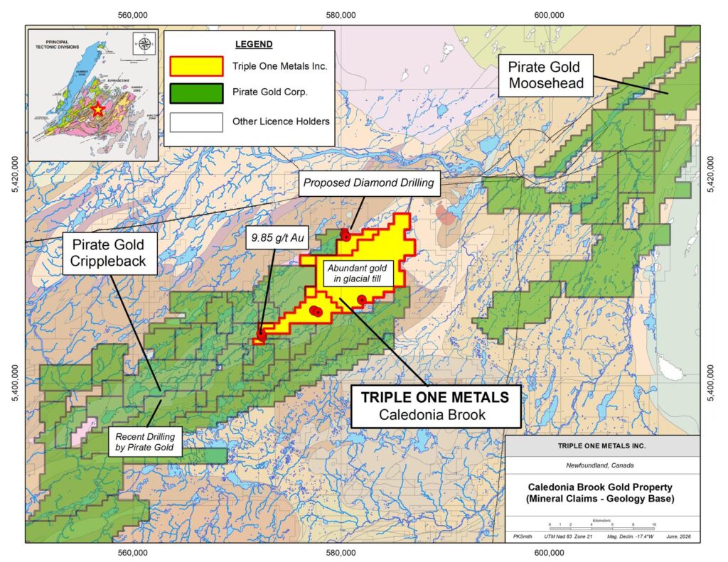 Caledonia Brook mineral claims map showing Triple One Metals, neighbouring Pirate Gold properties, gold results and proposed diamond drilling