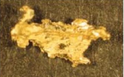 Visible gold grain recovered from glacial till at Caledonia Brook